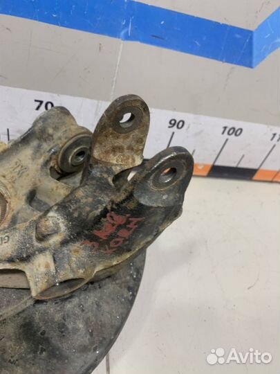 Кулак задний левый