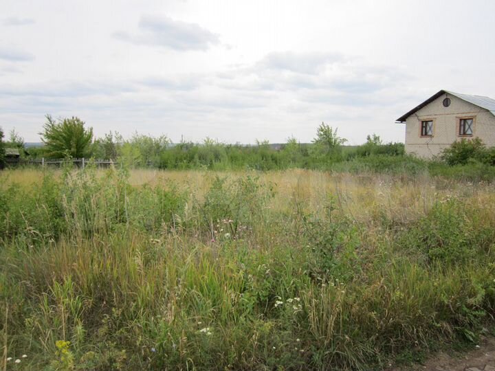 Вязовый гай самарская область лес. Купить земельный участок в чапаевске гусинка. Чапаевск земельные участки. Сдт «каменка-1». Цена 10 сотка земли в чапаевка.