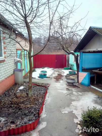 Жильё Новый Оскол
