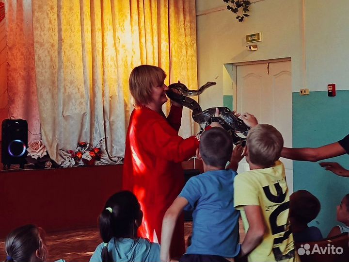 Аниматор, мыльные пузыри, фокусы