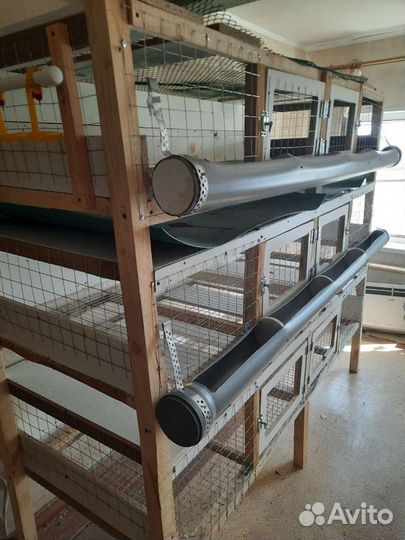 Клетка для перепелов