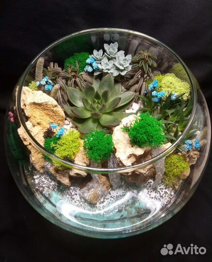 Флорариум на заказ