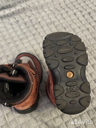 Сапоги ecco 21 размер