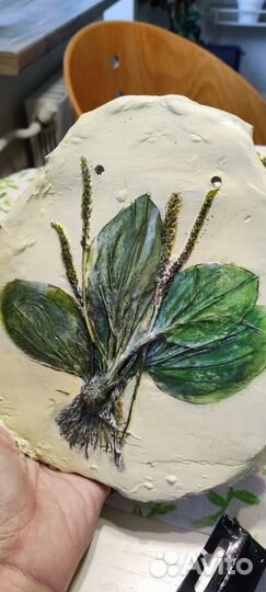 Ботанический барельеф