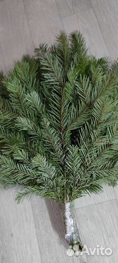 Пихтовые веники