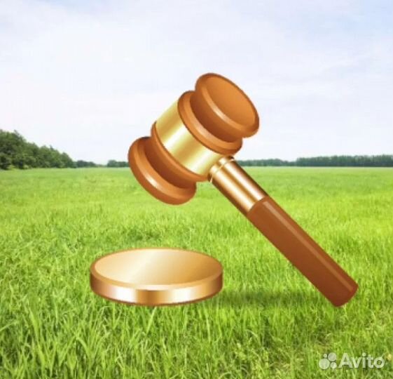 Агент на торгах по банкротству, арестов имуществу