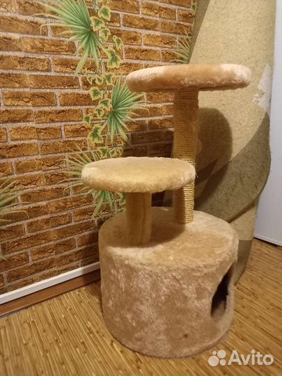 Когтеточка