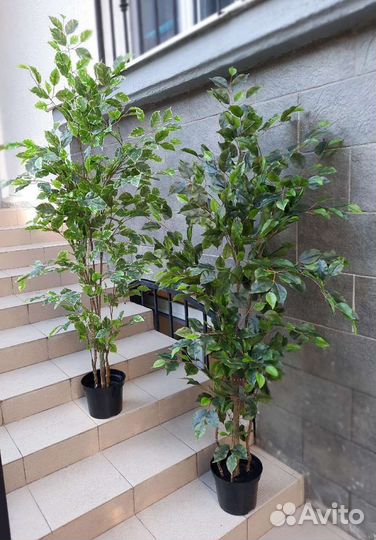 Искусственный фикус дерево