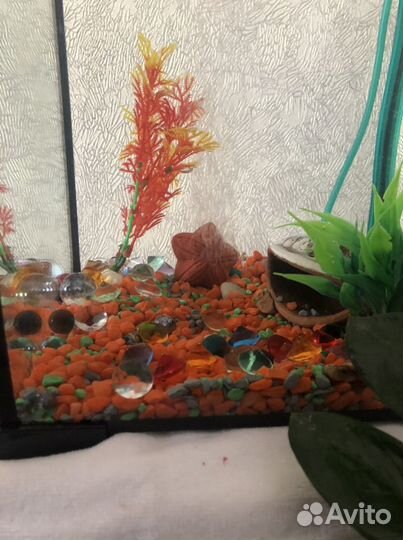 Аквариум 18 литров