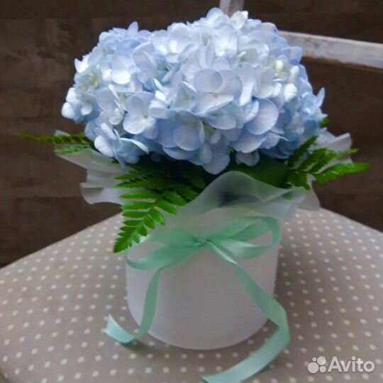 Коробка с Гортензией Доставка