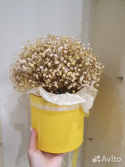 Букет из гипсофилы в коробке