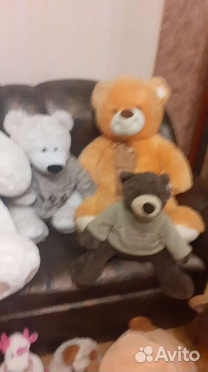 Большие плюшевые медведи