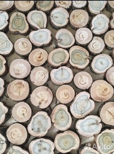 Панно из можжевельника