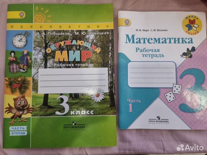Рабочая тетрадь по окр.миру и математике за 3класс