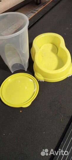 Кошачьи принадлежности