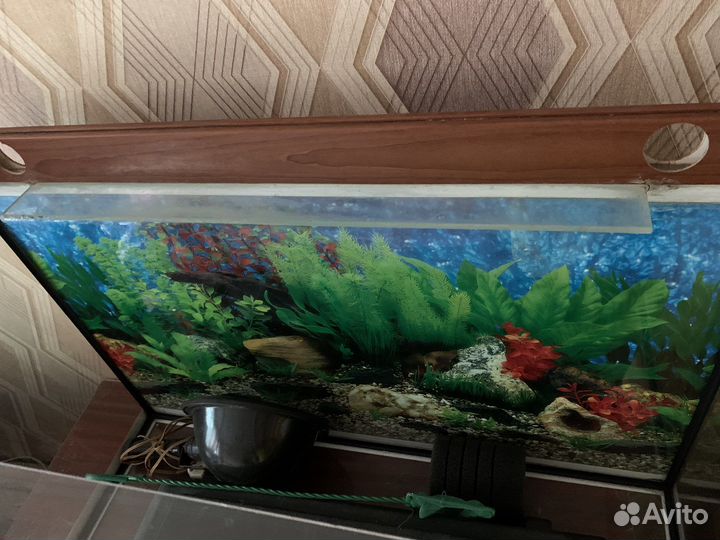 Аквариум на 150 литров