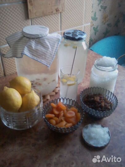 Рисовый гриб