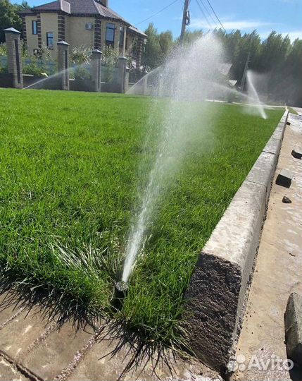 Рулонный газон, газон посевной