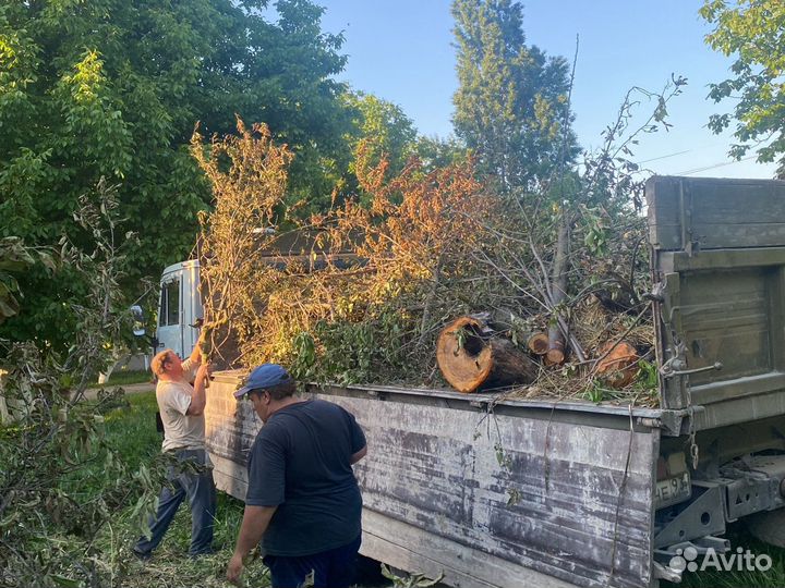 Вывоз строительного мусора