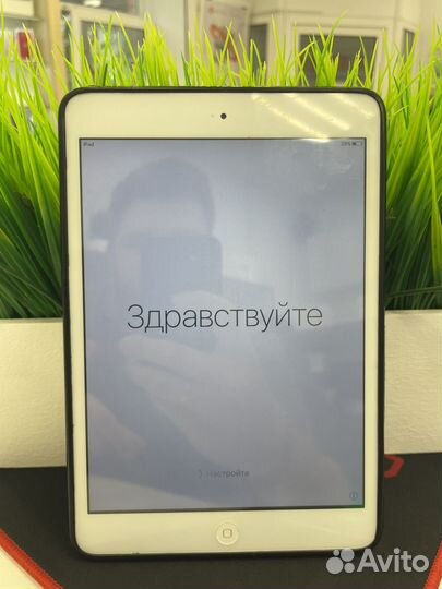iPad mini 1