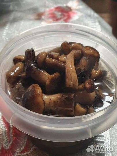 Грибы опята маринованные, соленья, фасоль