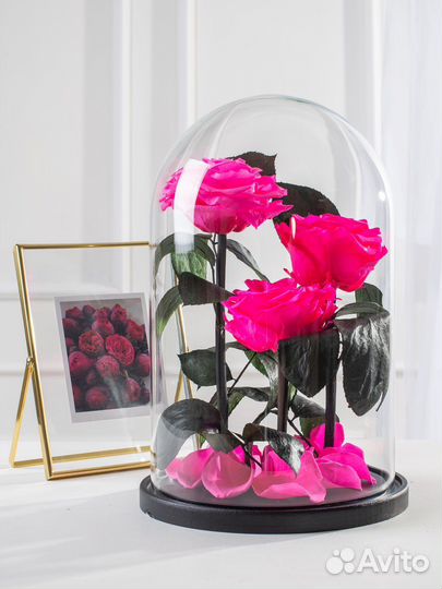 Долговечная живая роза в колбе