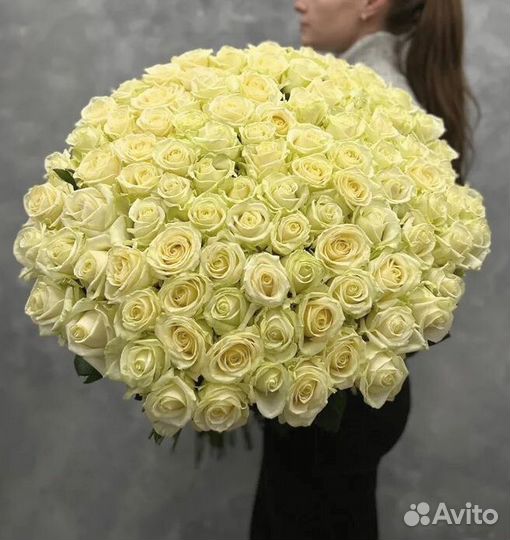 101 роза/51 роза Эквадор/Доставка