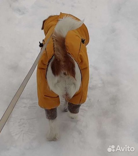 Теплая одежда (куртка, комбинезон) для собак