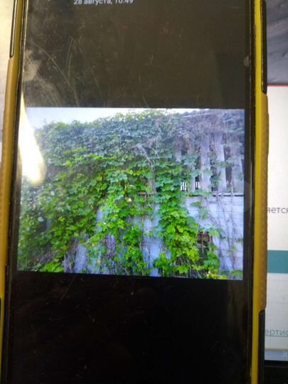 Дача 70 м² на участке 10,3 сот.