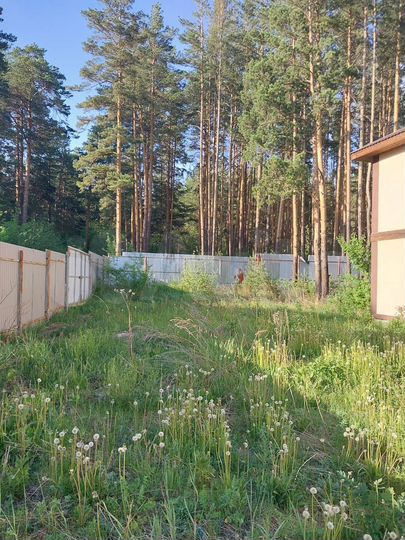 Дом 280 м² на участке 16 сот.