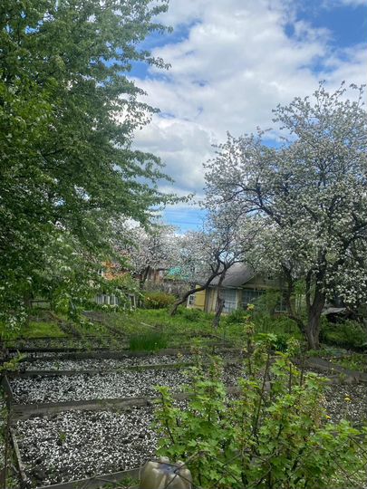 Участок 5,6 сот. (СНТ, ДНП)