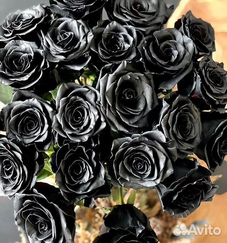Черные розы. Цена за шт. Букет из черных роз