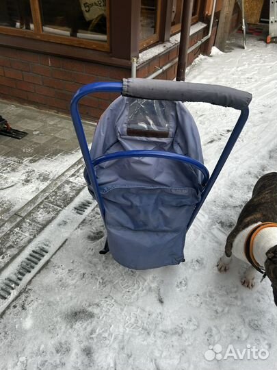 Детские санки коляска