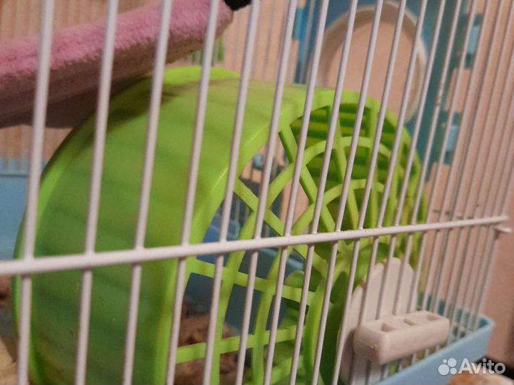 Клетка для грызунов