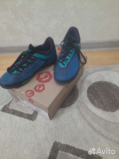 Сороконожки