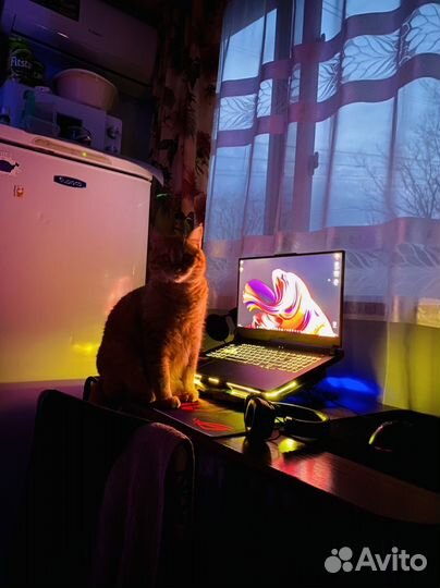 Asus ROG strix g17 g713 plus 2023