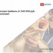Агентство по рыбоводству в городе, Дублин