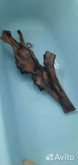 Коряга для аквариума бу