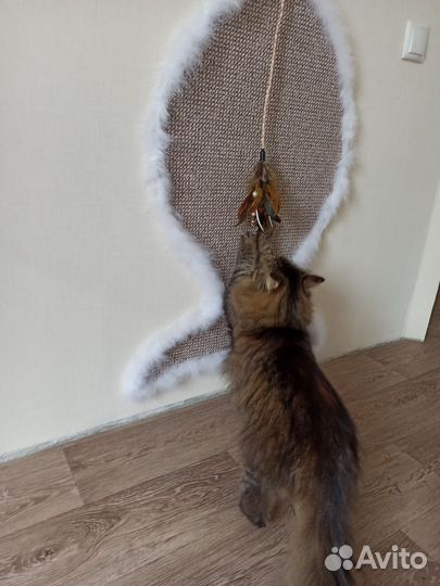 Когтеточка для кошек бу