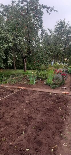 Дача 60 м² на участке 6 сот.