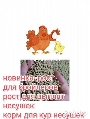 Корм для птиц