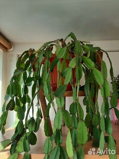 Подставка для цветов