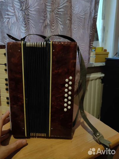 Аккордеон Малыш. Рабочий