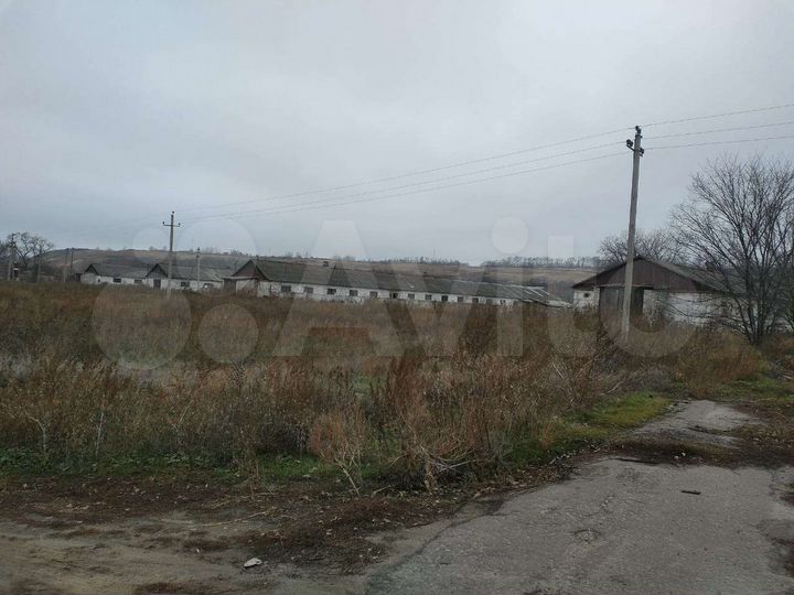 Участок 1,3 га (СНТ, ДНП)