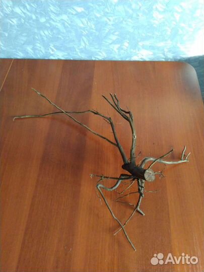 Коряги для аквариума подготовленные