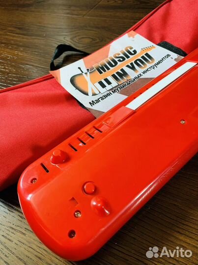 Мелодика (комплект)