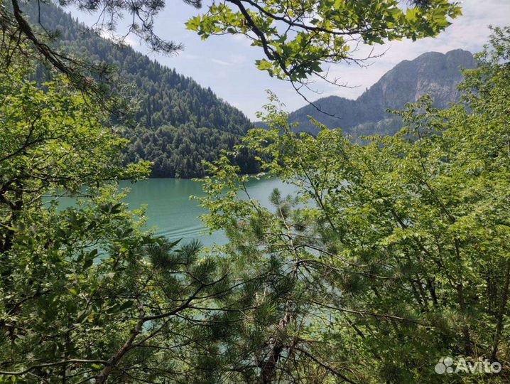 Индивидуальные экскурсии в Абхазию, Красную Поляну