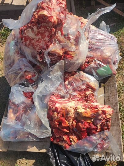 Мясо для собак-Обрезь говядины