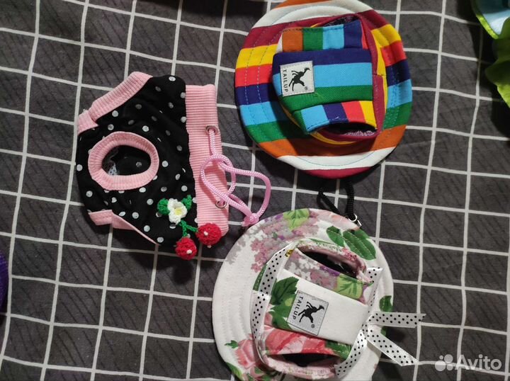 Одежда для собак. Плавки. Ошейник