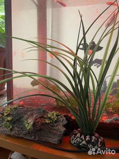 Аквариум с рыбками